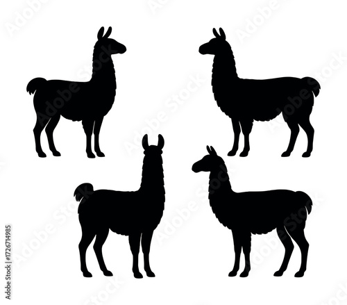 Silhouette set of four llamas in various poses