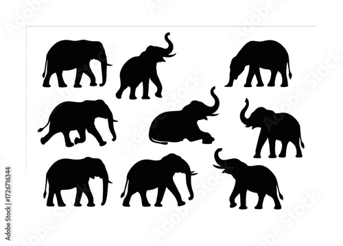 Silhouette collection of elephants in various poses on white background