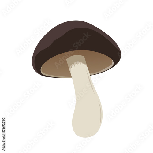 Simple Shiitake Mushroom Icon Vector Illustration with Dark Brown Cap