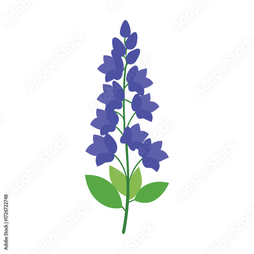 blue flowers isolated on white