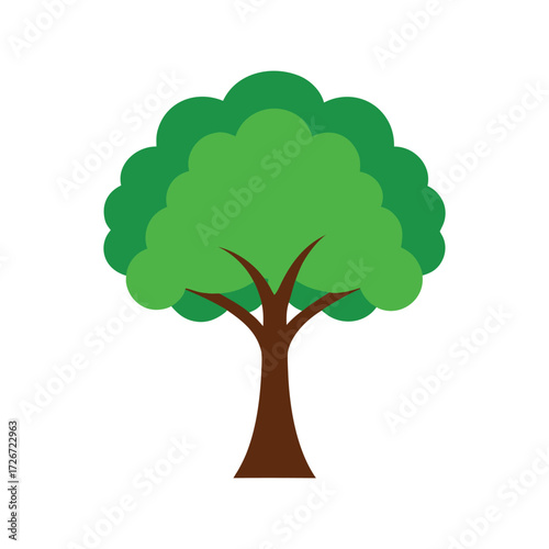 American ash tree botanical vector art illustration