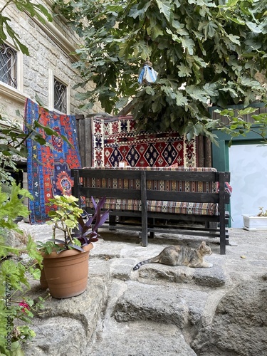 A cat rests on a hot summer day in a courtyard in Baku.