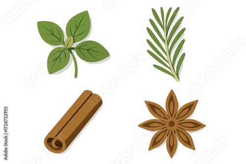 Assortment of fresh green culinary herbs like basil and rosemary with dried aromatic spices such as cinnamon and star anise