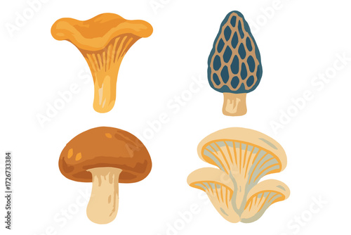 Diverse collection of edible wild mushrooms featuring chanterelle, morel, and oyster fungi varieties for culinary use