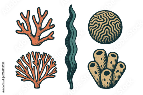 Diverse underwater marine life elements including coral, seaweed, and sponges in vintage hand-drawn style