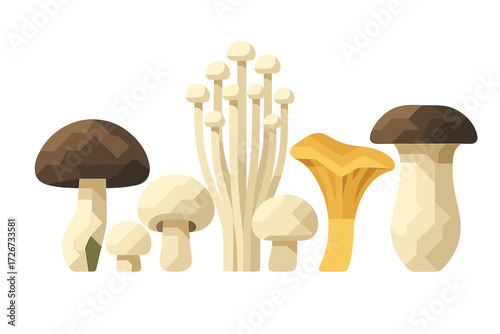Diverse group of culinary mushrooms including shiitake, button, enoki, chanterelle, and king oyster in contemporary flat style