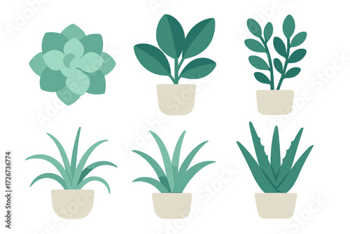 Collection of potted green houseplants and succulents in minimalist flat design style for indoor decor and botanical themes
