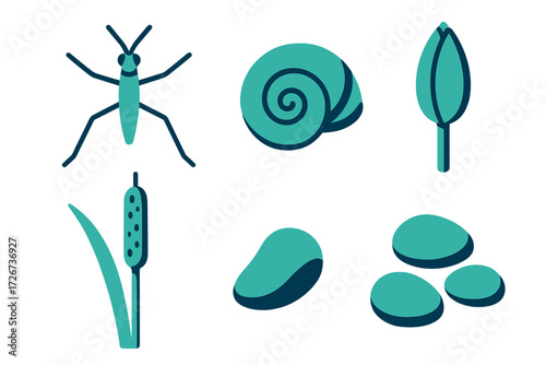 Stylized natural elements set featuring a water strider, snail shell, cattail, plant bud, and smooth pebbles