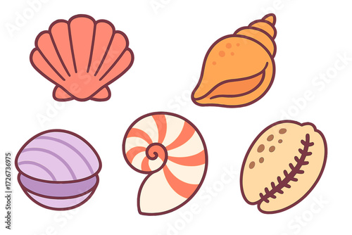 Assortment of various colorful marine seashells and ocean mollusks found on sandy beaches and underwater environments