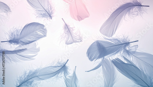 舞い落ちる羽と淡いブルーとピンクの抽象背景