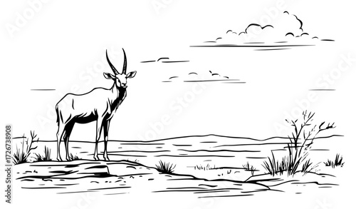 Lone antelope standing alert on dry savanna plain beneath vast sky – elegant wildlife safari line illustration