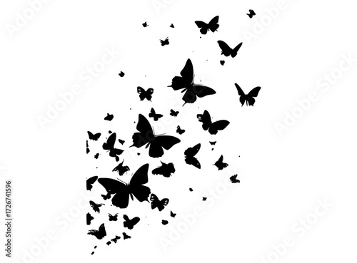 a flock of butterflies flying in the airblack, butterfly, fly, sky, white 
