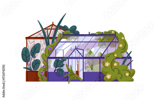 Abandoned overgrown greenhouse with broken windows. Destroyed glasshouse, garden with damaged glass. Collapsed building, dilapidated house. Flat isolated vector illustration on white background