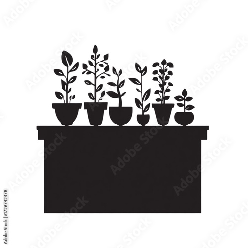 Silhouette of potted plants on a table black and white