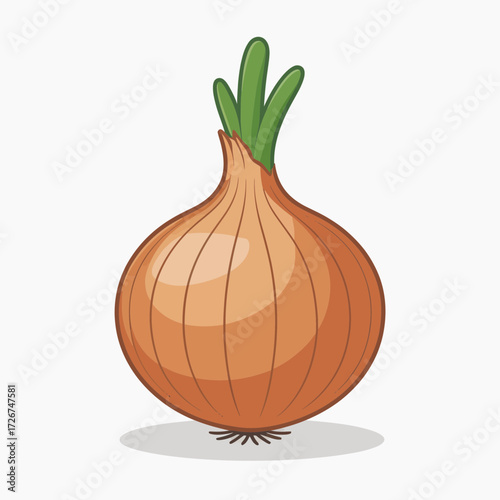 onion on a white background