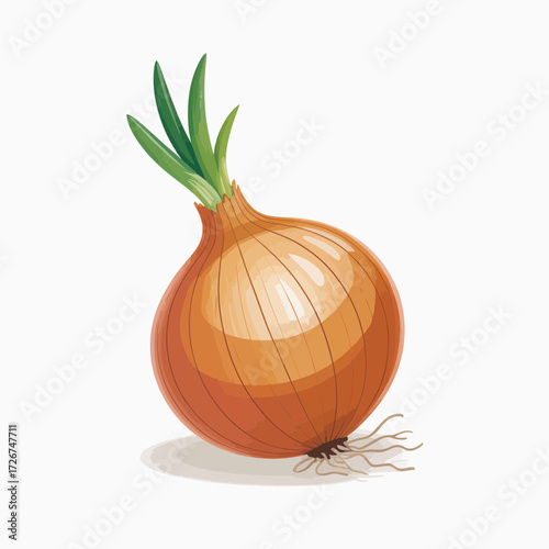 onion isolated on white