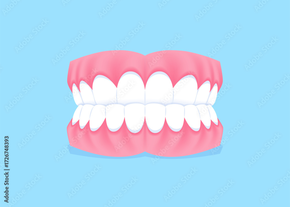 Fototapeta premium Full mouth teeth - Underbite illustration vector design. Dental care concept.