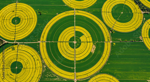 Wallpaper Mural Aerial view reveals circular fields of crops and vegetation, showcasing agricultural patterns. Torontodigital.ca