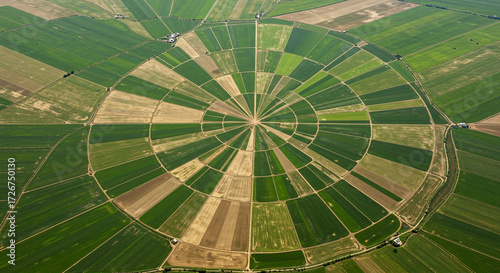 Wallpaper Mural Aerial view of a circular agricultural field divided into sections, showcasing diverse crops. Torontodigital.ca