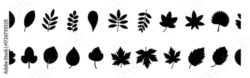 Collection of Black Leaf Silhouettes on White Background