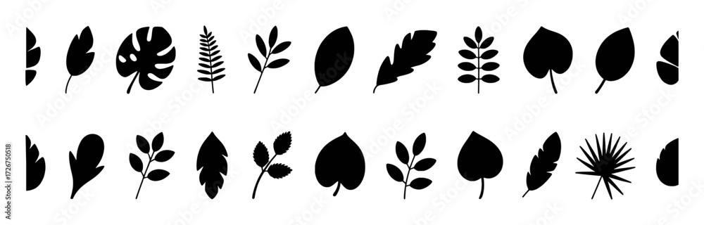 Fototapeta premium Collection of Black Silhouette Leaves and Foliage Icons