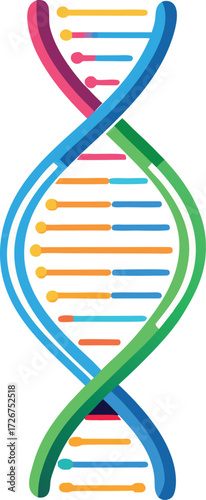 Multicolor DNA Double Helix Structure Vector for Genetics and Biotech Research