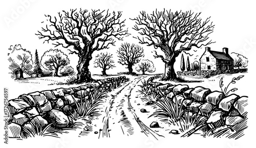 Rustic country lane lined with stone walls and bare oak trees leading to old farmhouse – vintage engraving rural landscape illustration