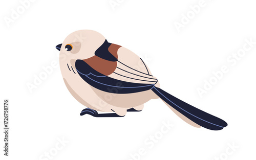 Bird, winter tit with long tail, feather. Eurasian fauna, little avian animal sitting. Wild forest nature. Cute songbird with folded wings. Flat vector illustration isolated on white background