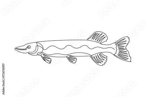 One Line Drawing of Pike Fish. Abstract Aquatic Wildlife Artwork