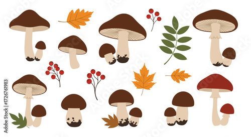 An artistic collection of autumnal mushrooms and leaves.