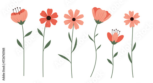 A collection of delicate illustrations of blooming wildflowers in various stages of growth and bloom.