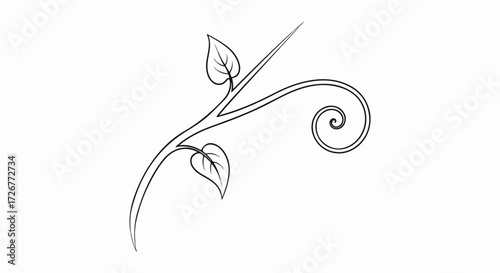 Elegant flourish design element on white surface, delicate flourish depicted with fine lines and leaves. Flourish conveys a sense of graceful movement and nature inspired design.