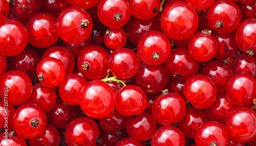Close-up of red berries