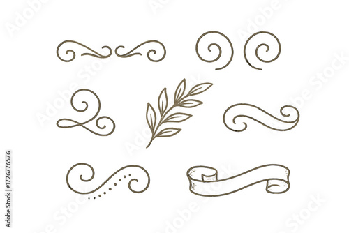 Assortment of classic ornamental design elements featuring elegant calligraphic scrolls, a botanical sprig, and a blank ribbon