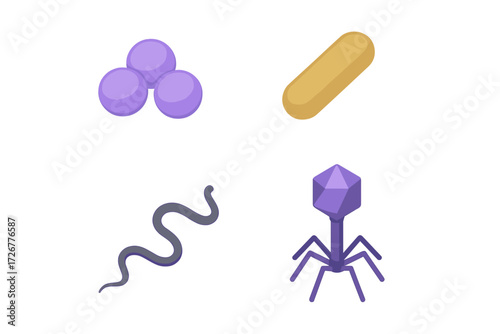 Collection of diverse microscopic organisms featuring different bacteria shapes and a bacteriophage virus