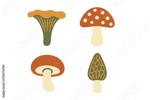 Set of various mushroom species including chanterelle, morel, and other common fungi in a clean graphic style