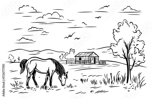 Peaceful horse grazing on sunny ranch meadow with distant barn and rolling hills – rural countryside sketch illustration
