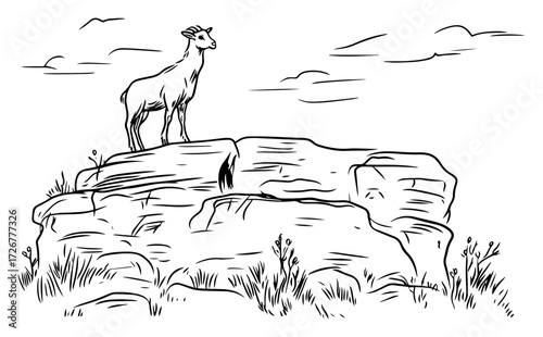 Mountain goat poised on windswept rocky outcrop, surveying highland wilderness – rugged wildlife line-art illustration