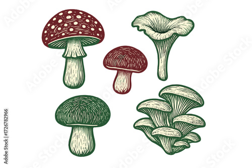 Collection of wild forest mushrooms and fungi in a stylized botanical composition with a vintage linocut aesthetic