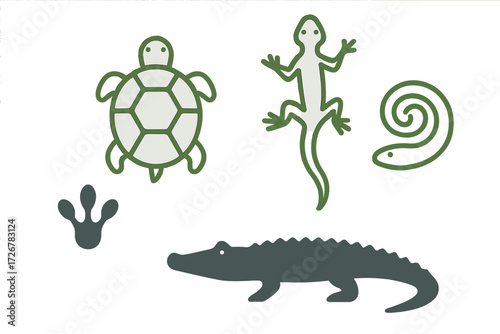 Diverse set of stylized wildlife creatures including turtle lizard snake crocodile and amphibian footprint graphic elements