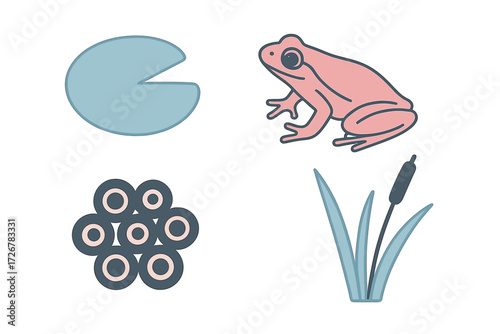 Stylized graphic elements depicting a frog, lily pad, frog eggs, and cattail plant for nature themes