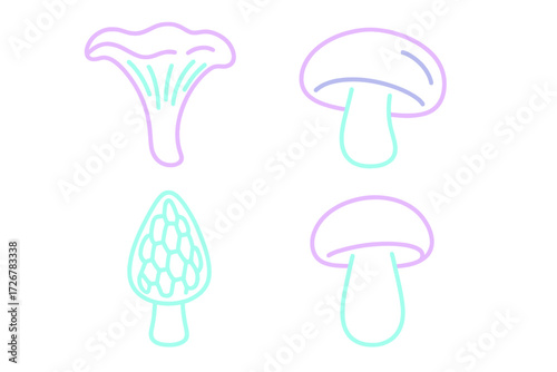 Stylized outline icons of various mushroom varieties: chanterelle, button, morel, and porcini