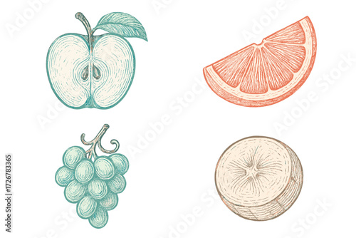 Vintage engraved style fruit collection featuring apple, orange, grapes, and banana cross-section