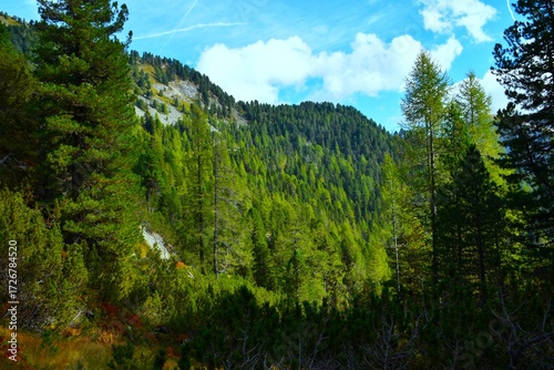 Mountain landscape with a conifer forest with larch trees covering the slopes in n Sölktäler nature park Niedere Tauern, Styria, Austria