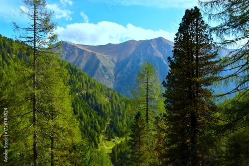Mountains at Sölktäler nature park with conifer trees and a forest bellow in Niedere Tauern, Styria, Austria