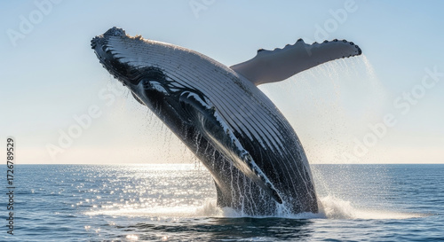 Wallpaper Mural Majestic humpback whale breaching the ocean surface in stunning display of marine life power and beauty against a sparkling horizon, a breathtaking moment Torontodigital.ca