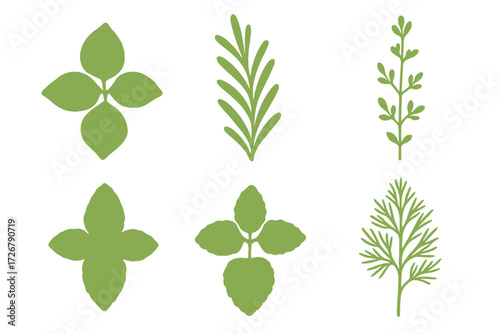 Fresh green culinary herbs and aromatic spices, essential for healthy cooking and natural food preparation