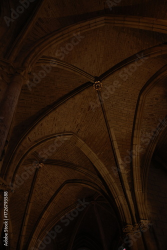 Techo con vueltas de catedral gotica