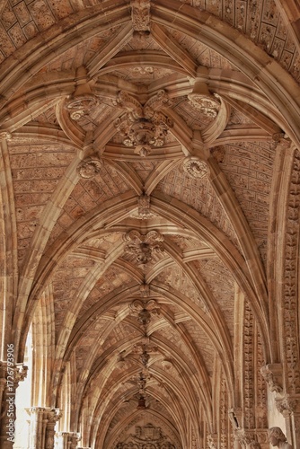 Techo con vueltas de catedral gotica