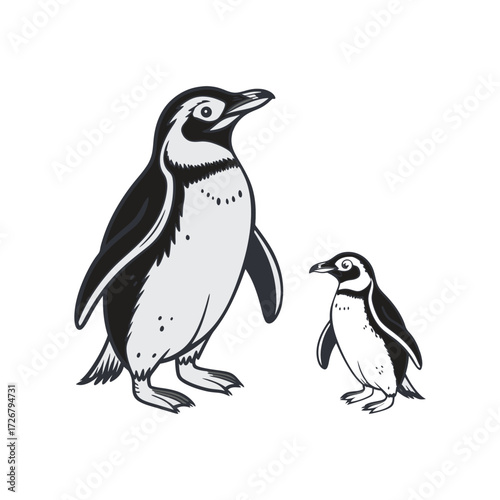 vector illustration of a penguin